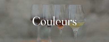 Classement par couleur de notre sélection de vins